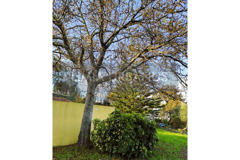 Villa i Ponte de Lima, Viana do Castelo, Ponte de Lima - € 425.000 | Ref: CAS_1108 - foto 21