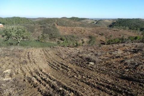 Helårsgrund i Ourique, Beja, Ourique - € 18.000 | Ref: KWPT-025071 - foto 4