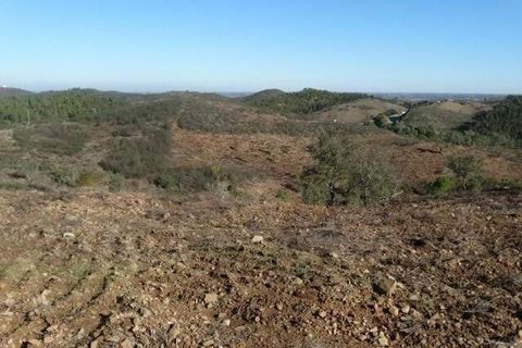 Helårsgrund i Ourique, Beja, Ourique - € 18.000 | Ref: KWPT-025071 - foto 6