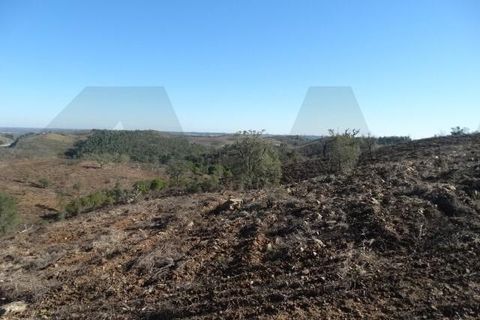Helårsgrund i Ourique, Beja, Ourique - € 18.000 | Ref: KWPT-025071 - foto 3