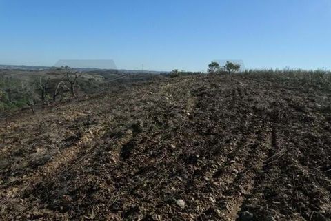 Helårsgrund i Ourique, Beja, Ourique - € 18.000 | Ref: KWPT-025071 - foto 7