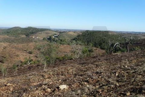 Helårsgrund i Ourique, Beja, Ourique - € 18.000 | Ref: KWPT-025071 - foto 9