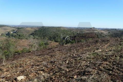 Helårsgrund i Ourique, Beja, Ourique - € 18.000 | Ref: KWPT-025071 - foto 10