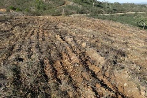 Helårsgrund i Ourique, Beja, Ourique - € 18.000 | Ref: KWPT-025071 - foto 11