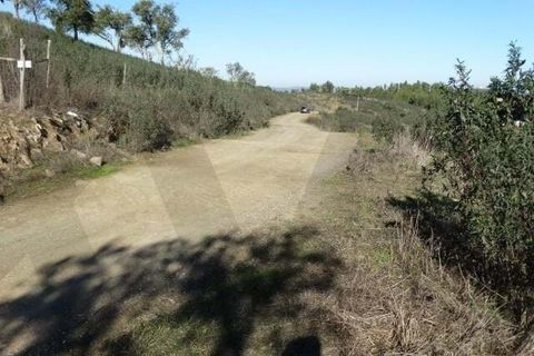 Helårsgrund i Ourique, Beja, Ourique - € 18.000 | Ref: KWPT-025071 - foto 12