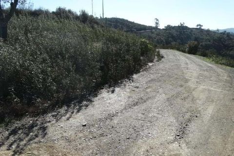 Helårsgrund i Ourique, Beja, Ourique - € 18.000 | Ref: KWPT-025071 - foto 13