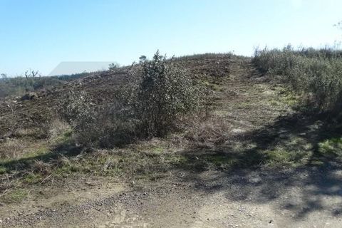 Helårsgrund i Ourique, Beja, Ourique - € 18.000 | Ref: KWPT-025071 - foto 14