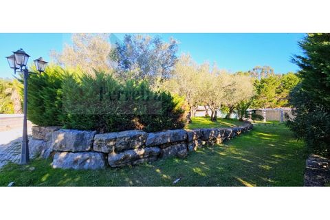 Villa i Belas, Lisbon, Belas - € 2.100.000 | Ref: RF-25-11/2025 - foto 5