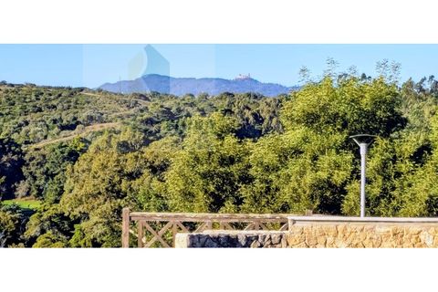 Villa i Belas, Lisbon, Belas - € 2.100.000 | Ref: RF-25-11/2025 - foto 13
