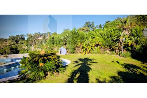Villa i Belas, Lisbon, Belas - € 2.100.000 | Ref: RF-25-11/2025 - foto 16