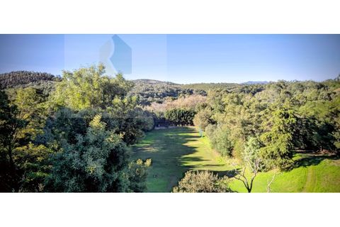 Villa i Belas, Lisbon, Belas - € 2.100.000 | Ref: RF-25-11/2025 - foto 21
