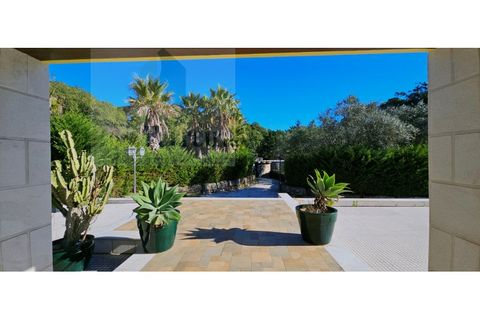 Villa i Belas, Lisbon, Belas - € 2.100.000 | Ref: RF-25-11/2025 - foto 25