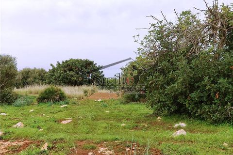 Terra a Scicli, Ragusa, Scicli - € 200.000 | Ref: 221 - foto 4