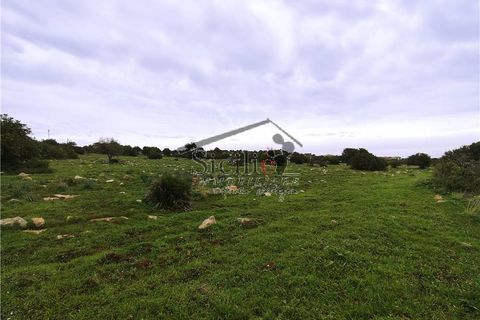 Terra a Scicli, Ragusa, Scicli - € 200.000 | Ref: 221 - foto 6