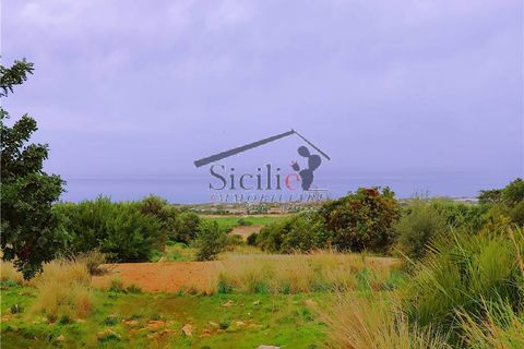 Terra a Scicli, Ragusa, Scicli - € 200.000 | Ref: 221 - foto 7