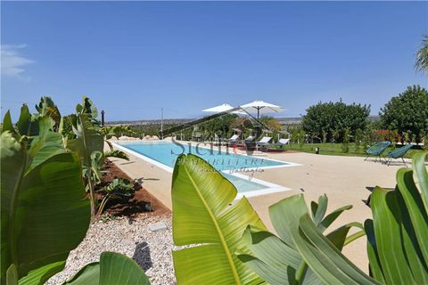 Villa a Scicli, Ragusa, Scicli - € 930.000 | Ref: 219 - foto 5