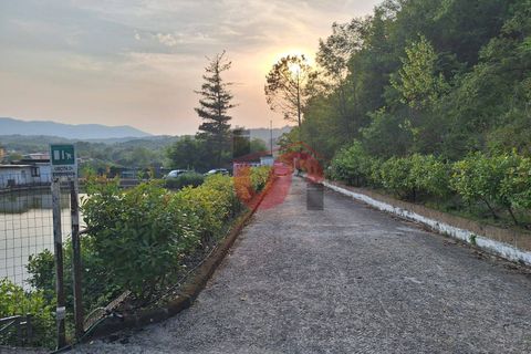 Erhvervsejendom i Ceppaloni, Benevento, Ceppaloni - € 200.000 | Ref: AA39745 - foto 2