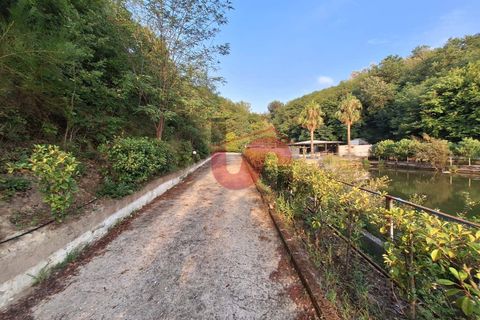 Erhvervsejendom i Ceppaloni, Benevento, Ceppaloni - € 200.000 | Ref: AA39745 - foto 8