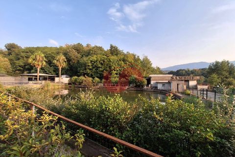 Erhvervsejendom i Ceppaloni, Benevento, Ceppaloni - € 200.000 | Ref: AA39745 - foto 12