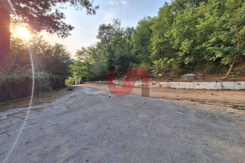 Erhvervsejendom i Ceppaloni, Benevento, Ceppaloni - € 200.000 | Ref: AA39745 - foto 19