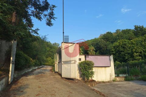 Erhvervsejendom i Ceppaloni, Benevento, Ceppaloni - € 200.000 | Ref: AA39745 - foto 20