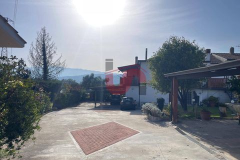 Villa a Benevento, Benevento, Benevento - € 500/mes | Ref: AA39795 - foto 22