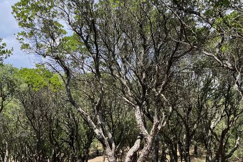 Helårsgrund i Saint-Raphaël, Var, Saint-Raphaël - € 50.000 | Ref: 225 - foto 6