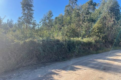 Helårsgrund i Barcelos, Braga, Barcelos - € 840.000 | Ref: 3571 - foto 2