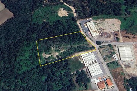 Helårsgrund i Barcelos, Braga, Barcelos - € 840.000 | Ref: 3571 - foto 3
