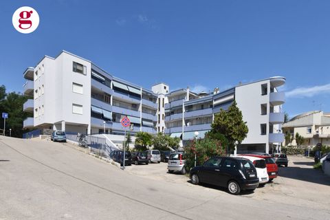 Lejlighed i Vasto, Chieti, Vasto - € 119.000 | Ref: IVM202540 - foto 27