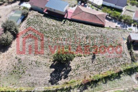 Helårsgrund i Vila Real, Vila Real, Vila Real - € 68.000 | Ref: SÒL_460 - foto 2