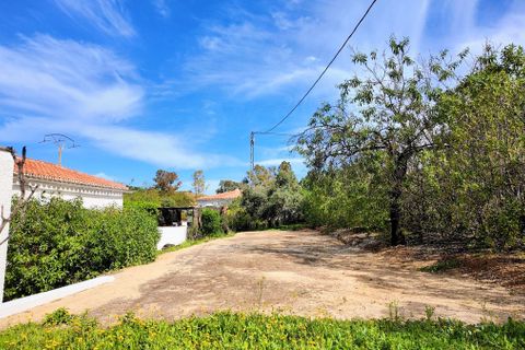 Villa i Almogia, Malaga, Almogia - € 299.000 | Ref: R5245624 - foto 26