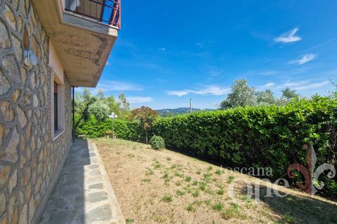 Villa a Massarosa, Lucca, Massarosa - € 430.000 | Ref: 19278 - foto 19