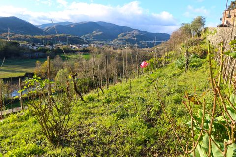 Villa a Pontremoli, Massa and Carrara, Pontremoli - € 180.000 | Ref: 634B - foto 3