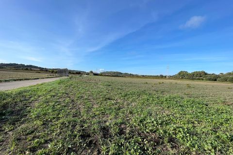 Terra a Muro, Mallorca, Muro - € 595.000 | Ref: 82727 - foto 2