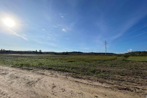 Terra a Muro, Mallorca, Muro - € 595.000 | Ref: 82727 - foto 3