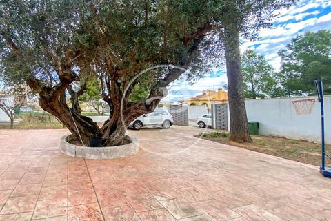 Villa a Turis, Valencia, Turis - € 285.000 | Ref: VV2512006 - foto 21