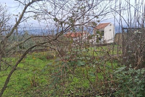 Villa i Seia, Guarda, Seia - € 55.000 | Ref: 382250131 - foto 3