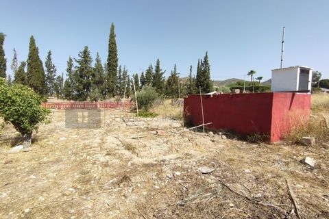 Landejendom i Sax, Alicante, Sax - € 220.000 | Ref: CAS_1331 - foto 40