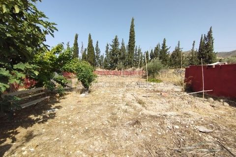 Landejendom i Sax, Alicante, Sax - € 220.000 | Ref: CAS_1331 - foto 42