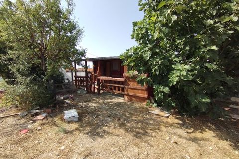 Landejendom i Sax, Alicante, Sax - € 220.000 | Ref: CAS_1331 - foto 43