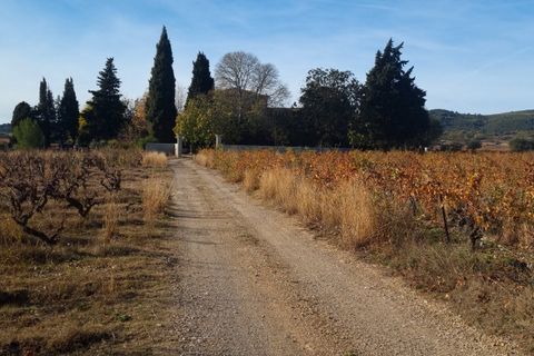 Villa a Jonquieres, Herault, Jonquieres - € 995.000 | Ref: 342436548 - foto 28
