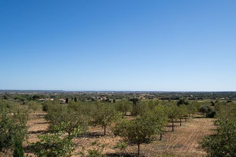 Villa en Campos, Mallorca, Campos - € 4.290.000 | Ref: 32372 - photo 30