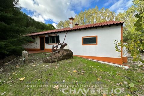 Villa i Tomar, Santarem, Tomar - € 395.000 | Ref: 565/25 - foto 1