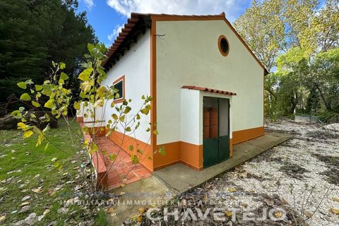 Villa i Tomar, Santarem, Tomar - € 395.000 | Ref: 565/25 - foto 5