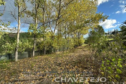 Villa i Tomar, Santarem, Tomar - € 395.000 | Ref: 565/25 - foto 8