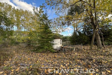 Villa i Tomar, Santarem, Tomar - € 395.000 | Ref: 565/25 - foto 9