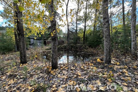 Villa i Tomar, Santarem, Tomar - € 395.000 | Ref: 565/25 - foto 10