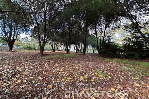 Villa i Tomar, Santarem, Tomar - € 395.000 | Ref: 565/25 - foto 11
