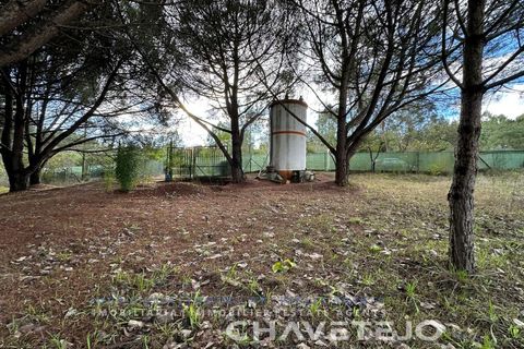 Villa i Tomar, Santarem, Tomar - € 395.000 | Ref: 565/25 - foto 25
